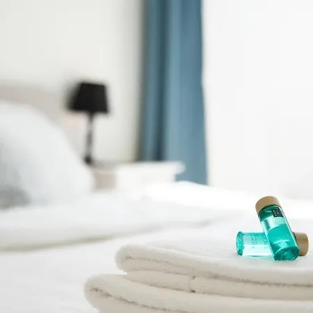 Beautiful Renovated In An Authentic Building Apartment