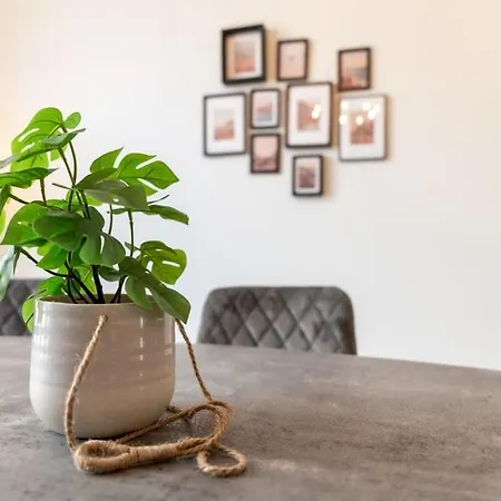 Apartment Beautiful Renovated In An Authentic Building