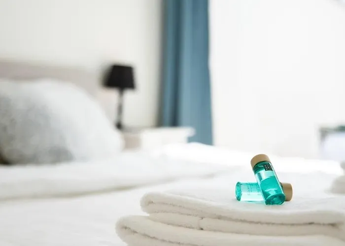 Beautiful Renovated In An Authentic Building Apartment