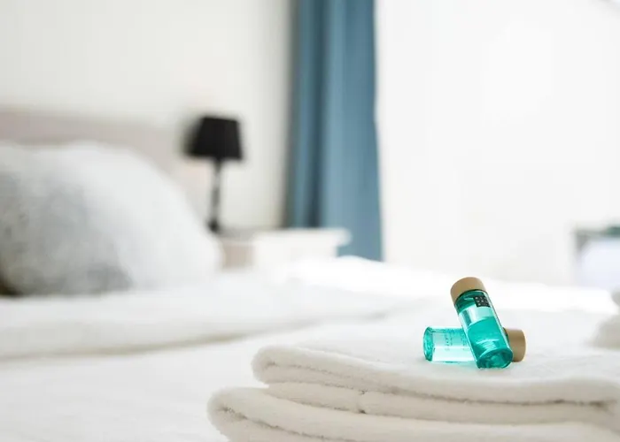 Beautiful Renovated In An Authentic Building Apartment